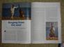 The Double Bassist Magazine UK